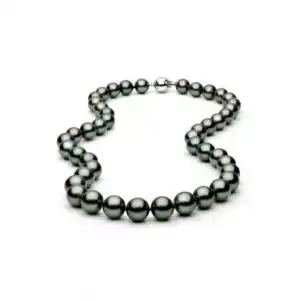 Tahitian Pearl Necklace Pearl and Clasp