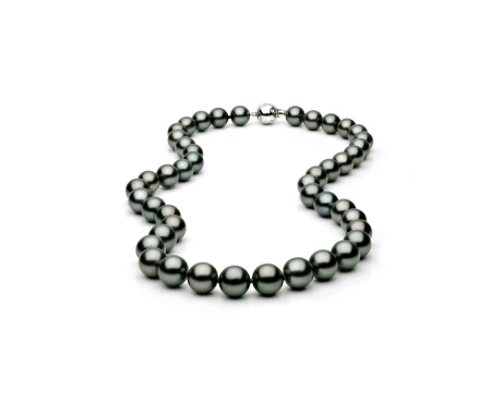 Tahitian Pearl Necklace Pearl and Clasp