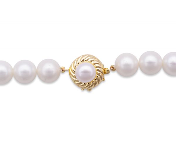 Pearl Bracelet Royal Pearl Clasp