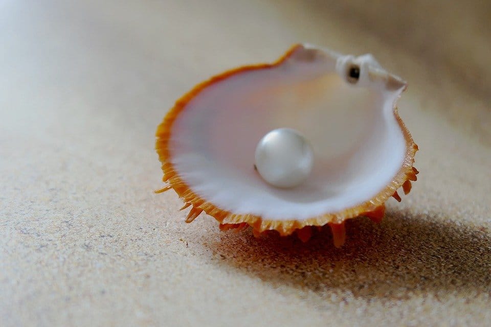 world's oldest pearl